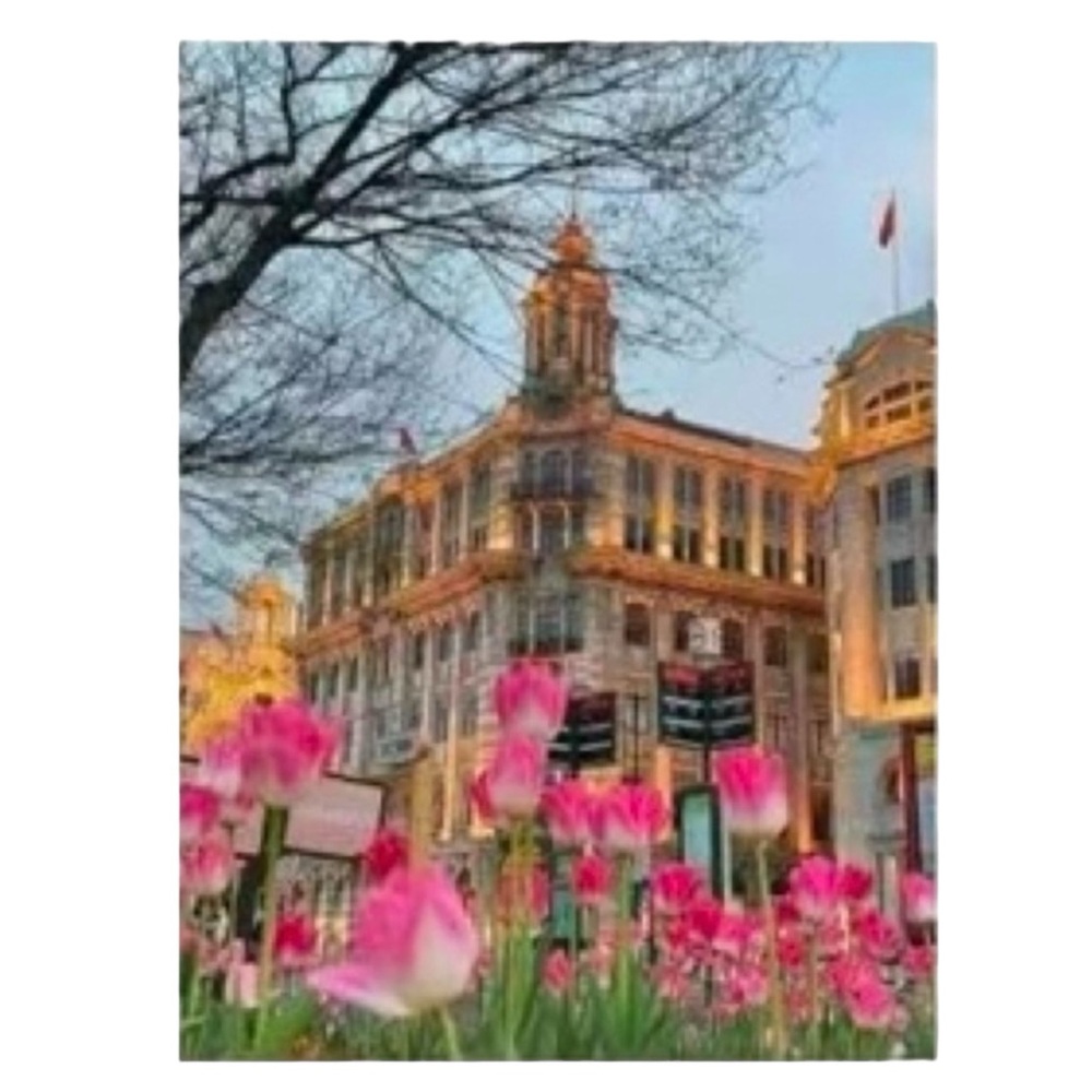 Diamond Painting Kit Tulip Cityscape 30x40cm DIY Craft Art